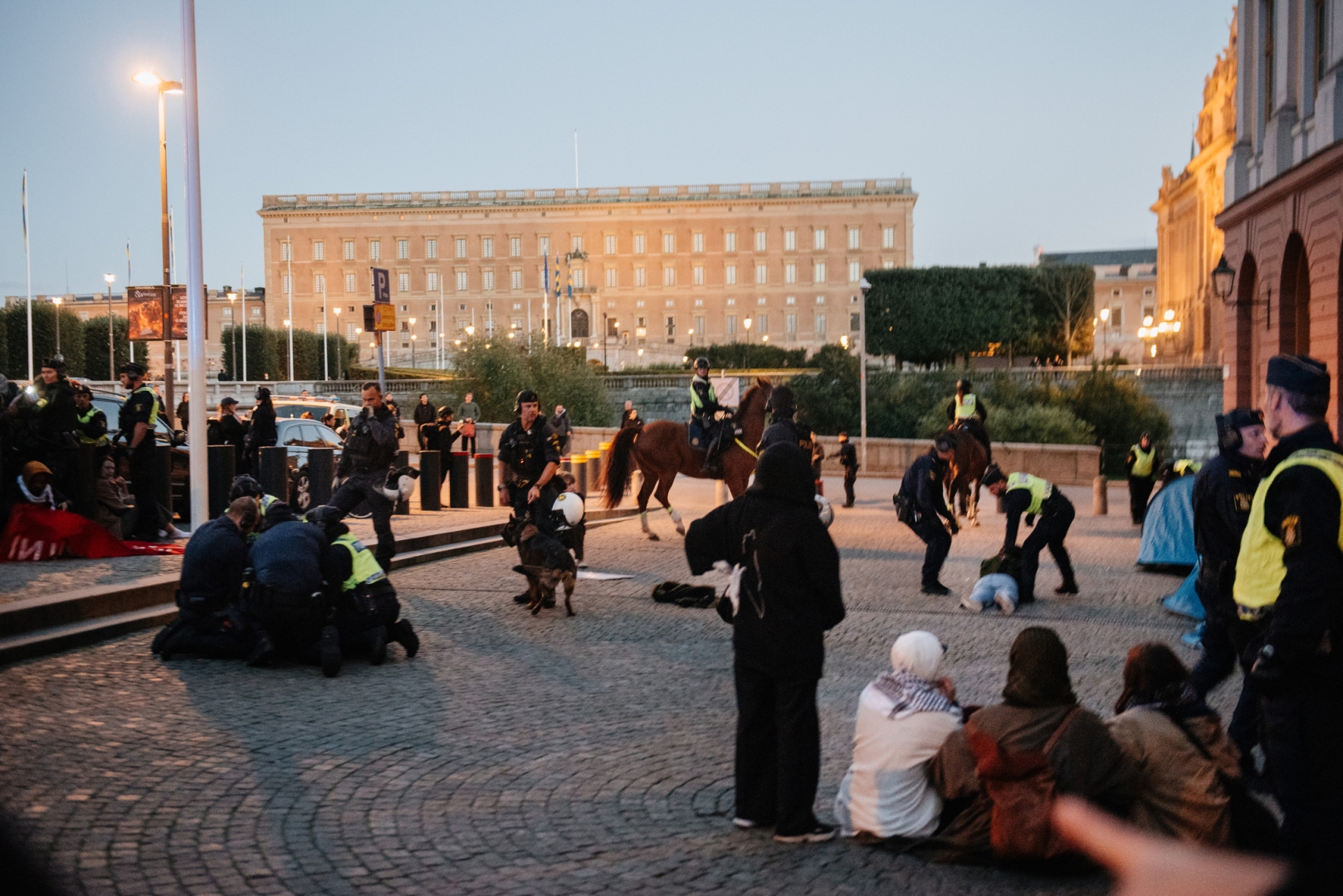 In the left 4 police is forcing down a girl on the ground, in the right we can see at least 1 protester getting dragged by the police, there are 2 police horses and a police dog.